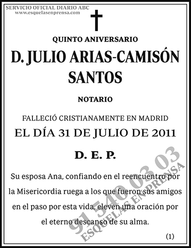 Julio Arias-Camisón Santos